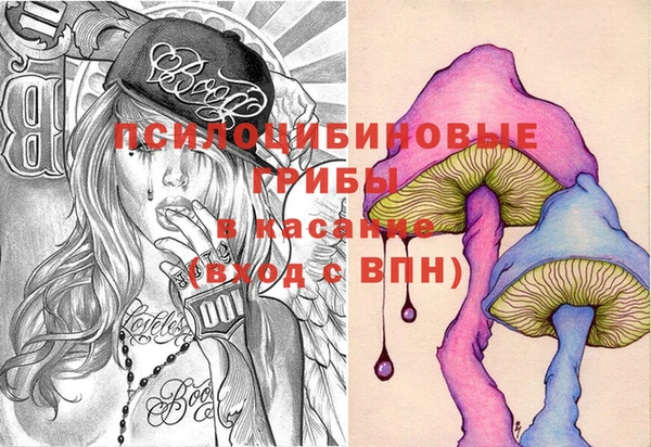 PSILOCYBIN Нефтекумск