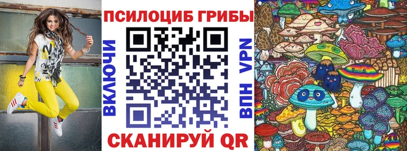 mega ССЫЛКА  Починок  Псилоцибиновые грибы Psilocybine cubensis  сколько стоит 